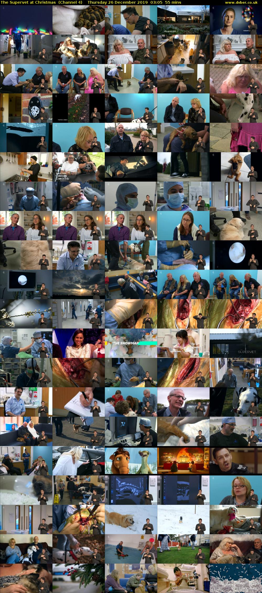 The Supervet at Christmas  (Channel 4) Thursday 26 December 2019 03:05 - 04:00