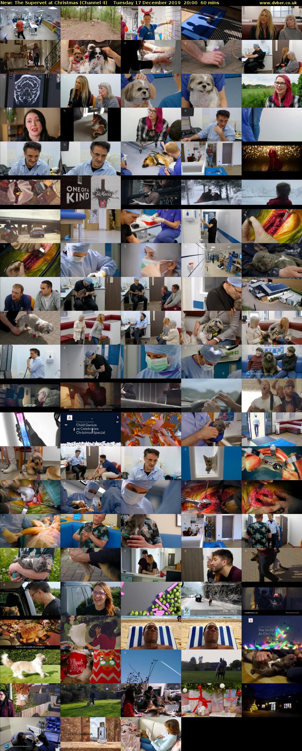The Supervet at Christmas (Channel 4) Tuesday 17 December 2019 20:00 - 21:00