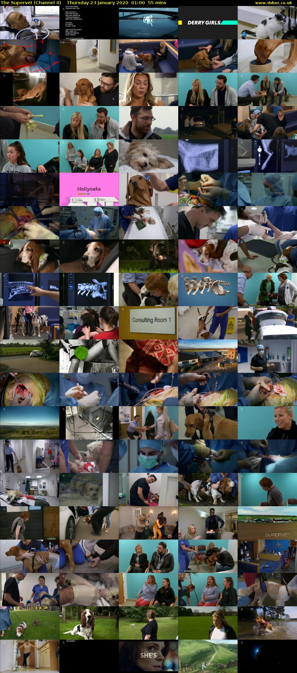 The Supervet (Channel 4) Thursday 23 January 2020 01:00 - 01:55