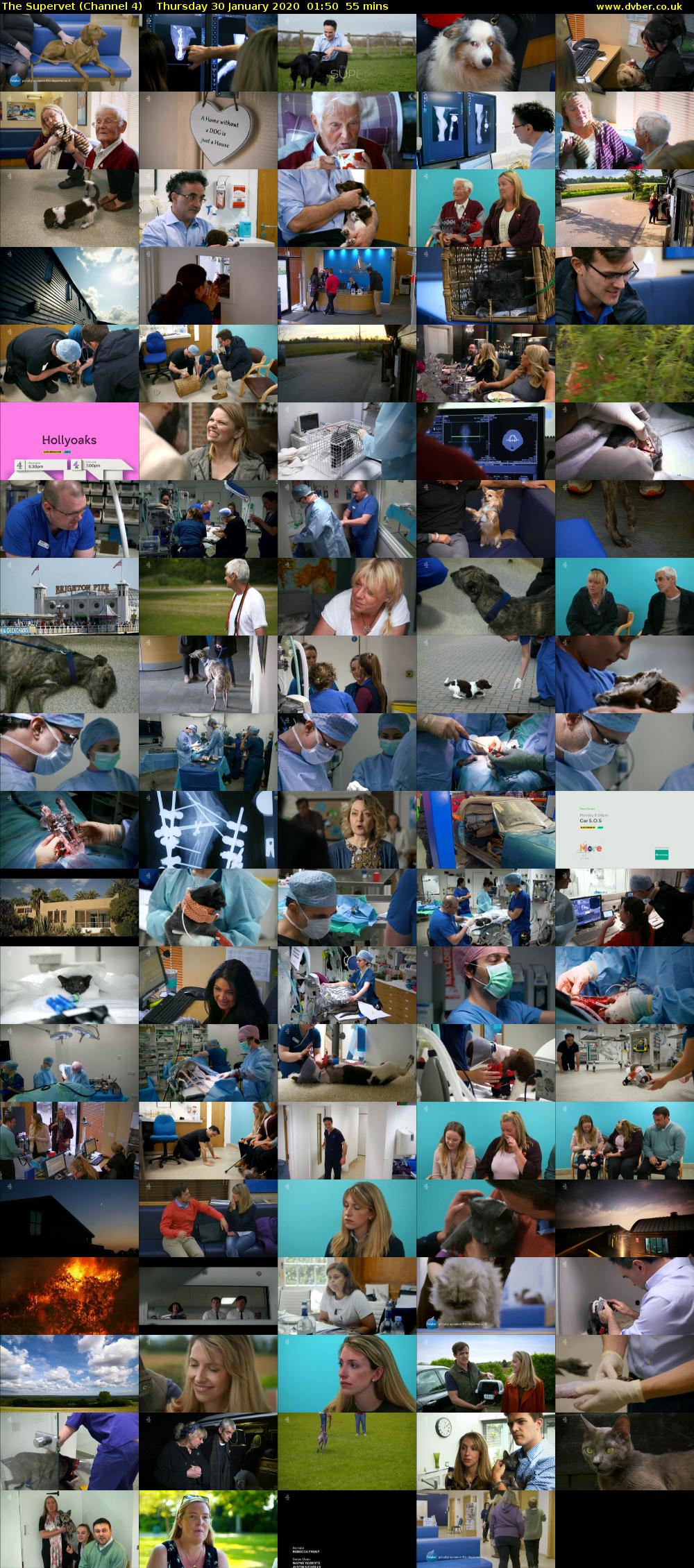 The Supervet (Channel 4) Thursday 30 January 2020 01:50 - 02:45