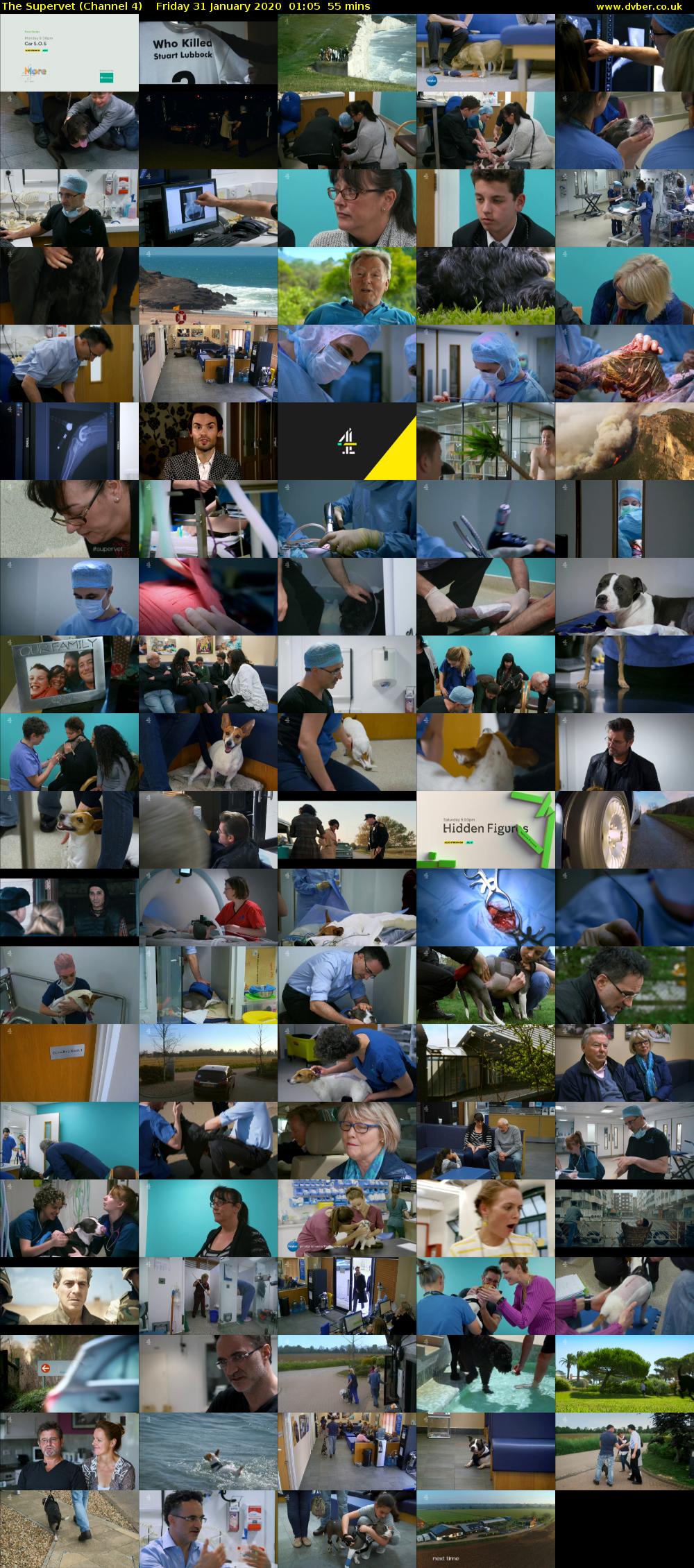 The Supervet (Channel 4) Friday 31 January 2020 01:05 - 02:00