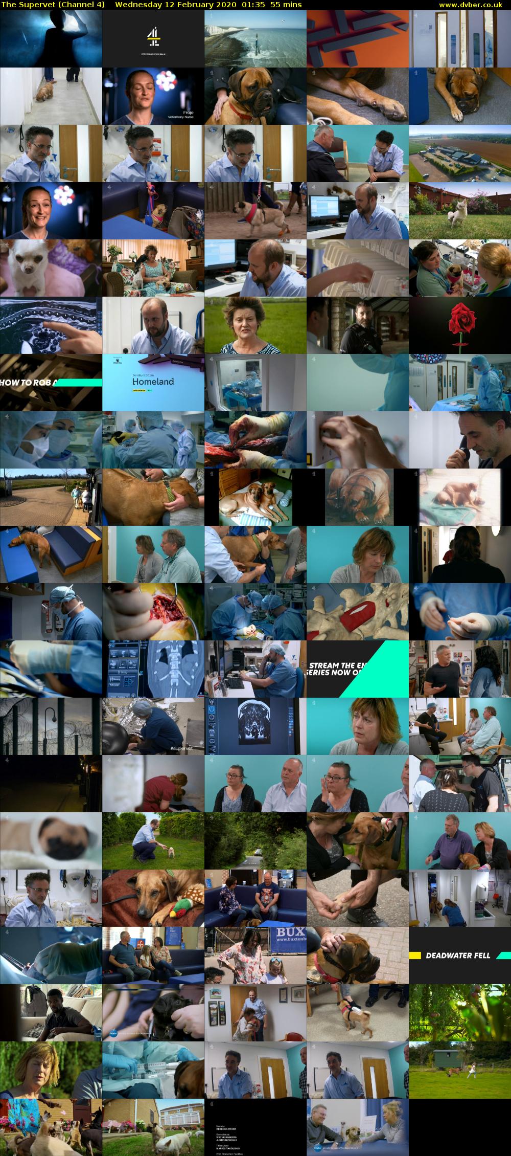 The Supervet (Channel 4) Wednesday 12 February 2020 01:35 - 02:30