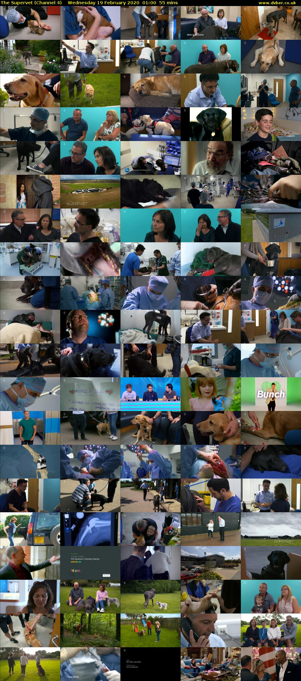 The Supervet (Channel 4) Wednesday 19 February 2020 01:00 - 01:55