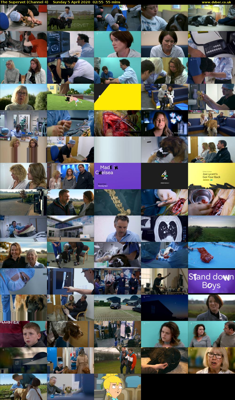 The Supervet (Channel 4) Sunday 5 April 2020 02:55 - 03:50