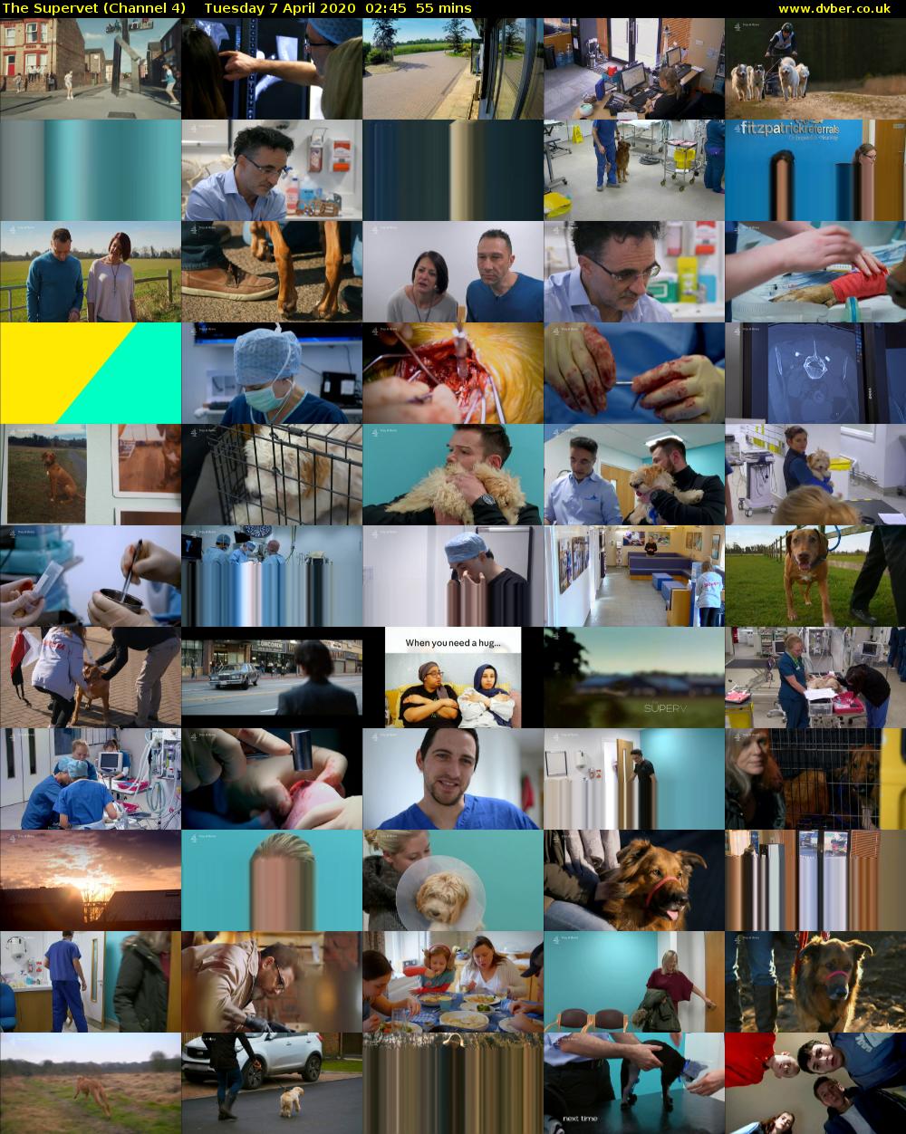 The Supervet (Channel 4) Tuesday 7 April 2020 02:45 - 03:40