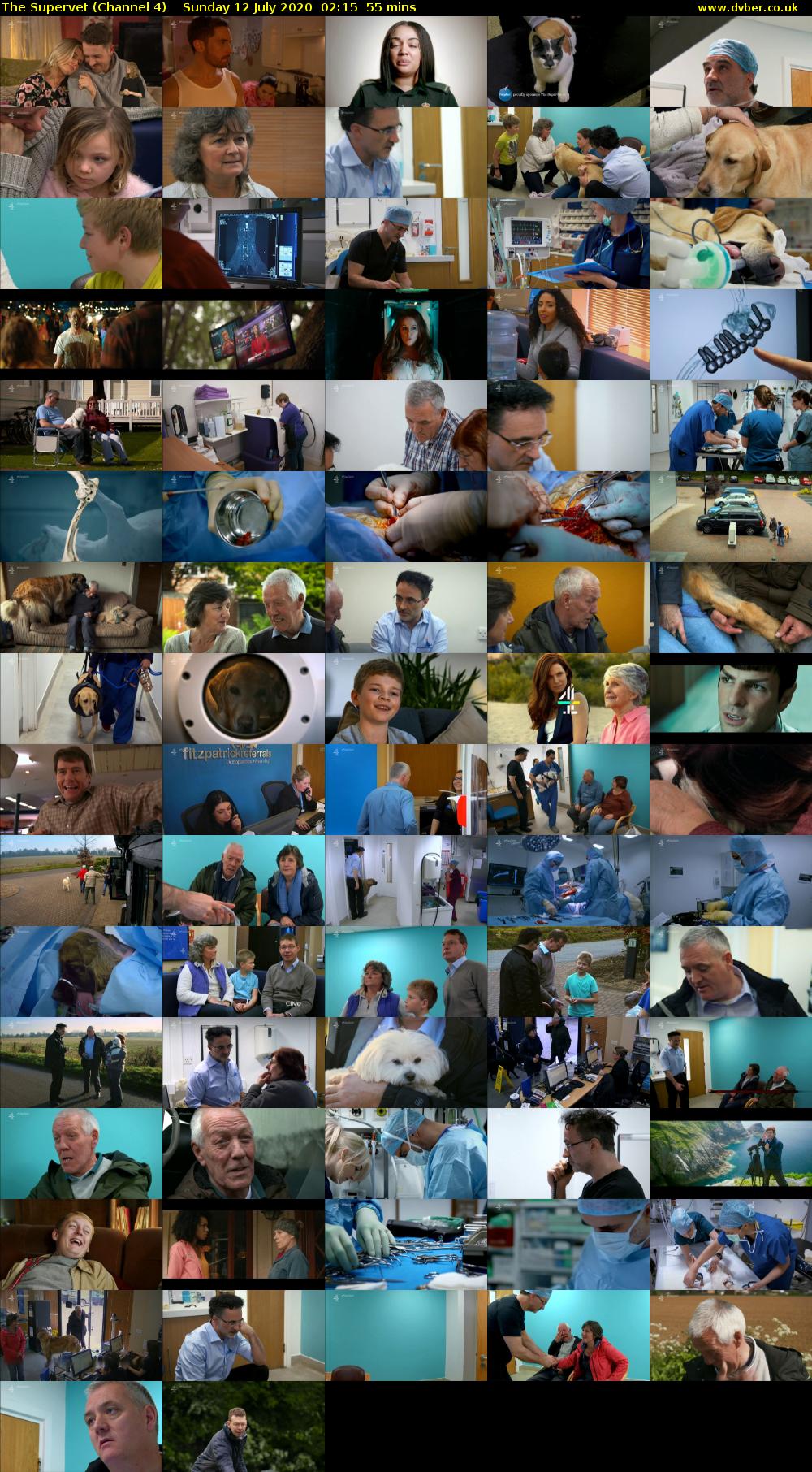 The Supervet (Channel 4) Sunday 12 July 2020 02:15 - 03:10