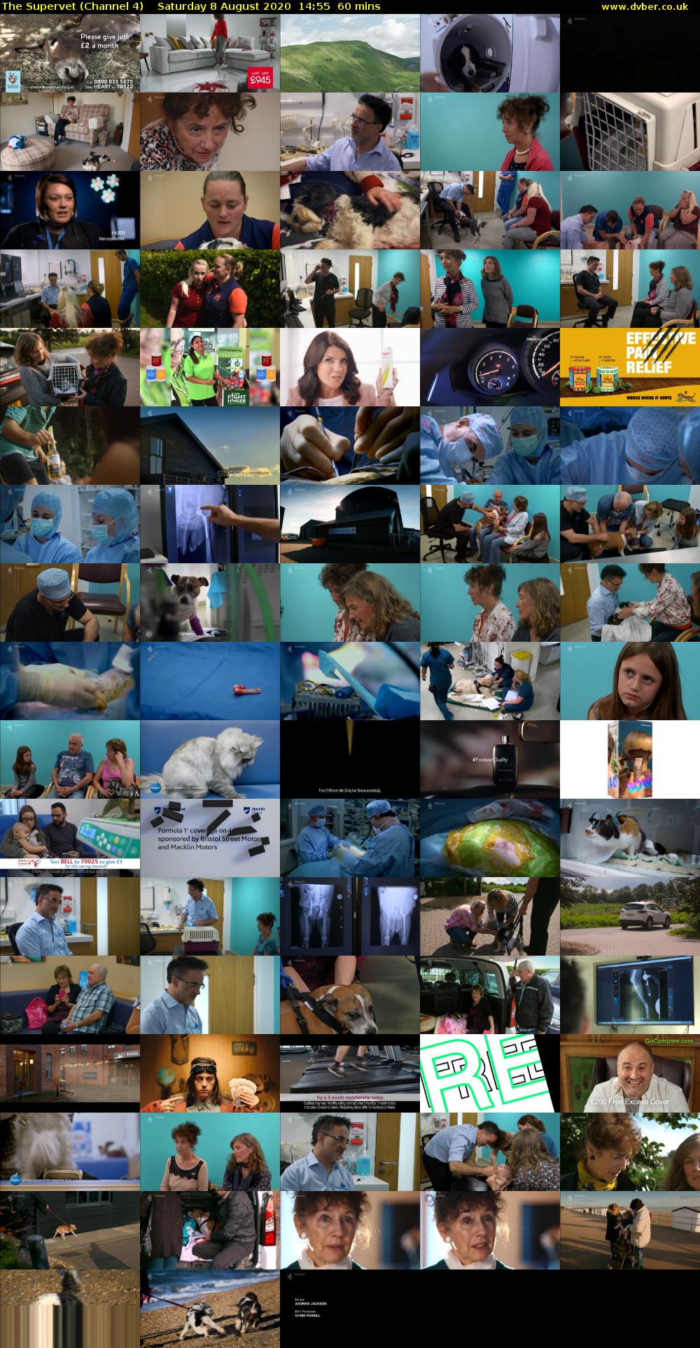 The Supervet (Channel 4) Saturday 8 August 2020 14:55 - 15:55