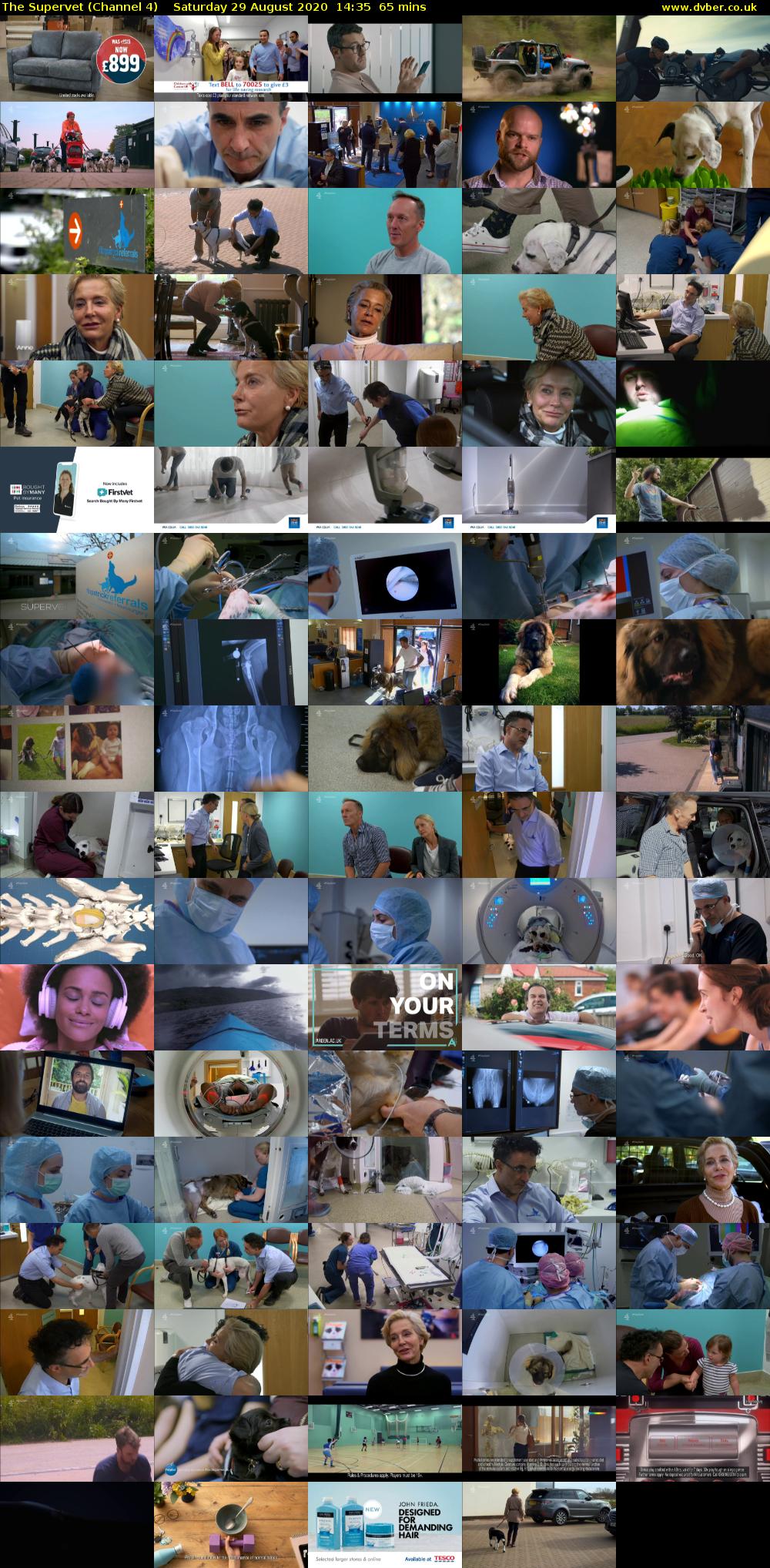 The Supervet (Channel 4) Saturday 29 August 2020 14:35 - 15:40