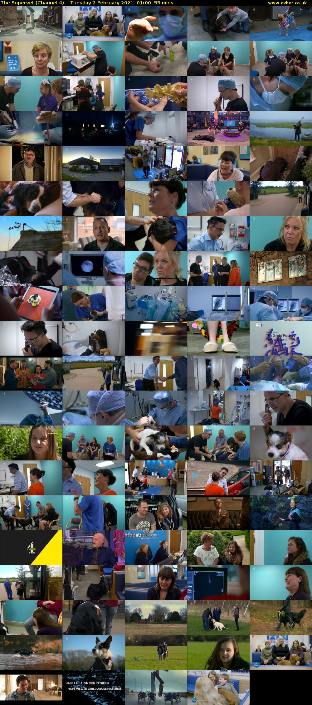 The Supervet (Channel 4) Tuesday 2 February 2021 01:00 - 01:55