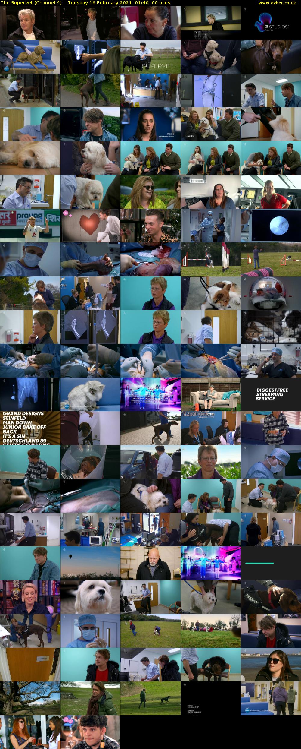 The Supervet (Channel 4) Tuesday 16 February 2021 01:40 - 02:40