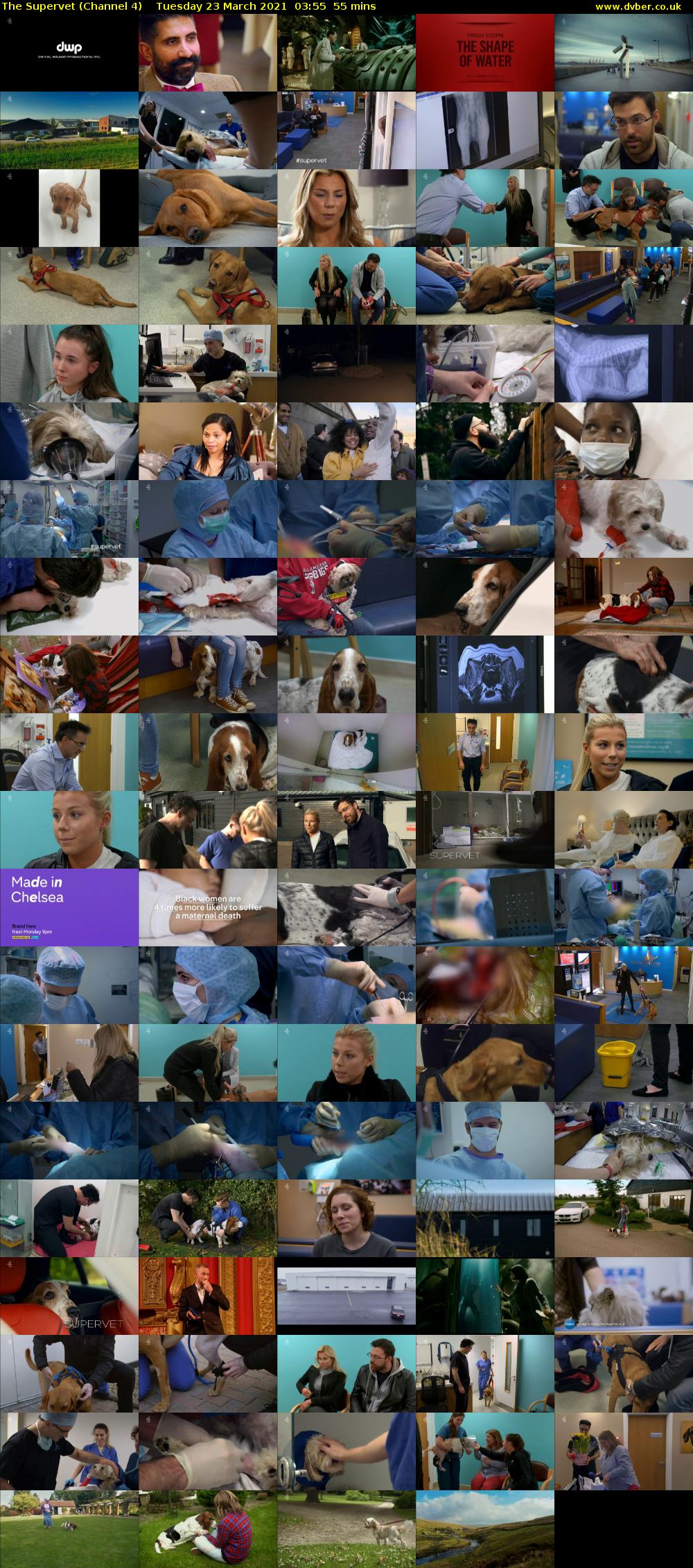 The Supervet (Channel 4) Tuesday 23 March 2021 03:55 - 04:50
