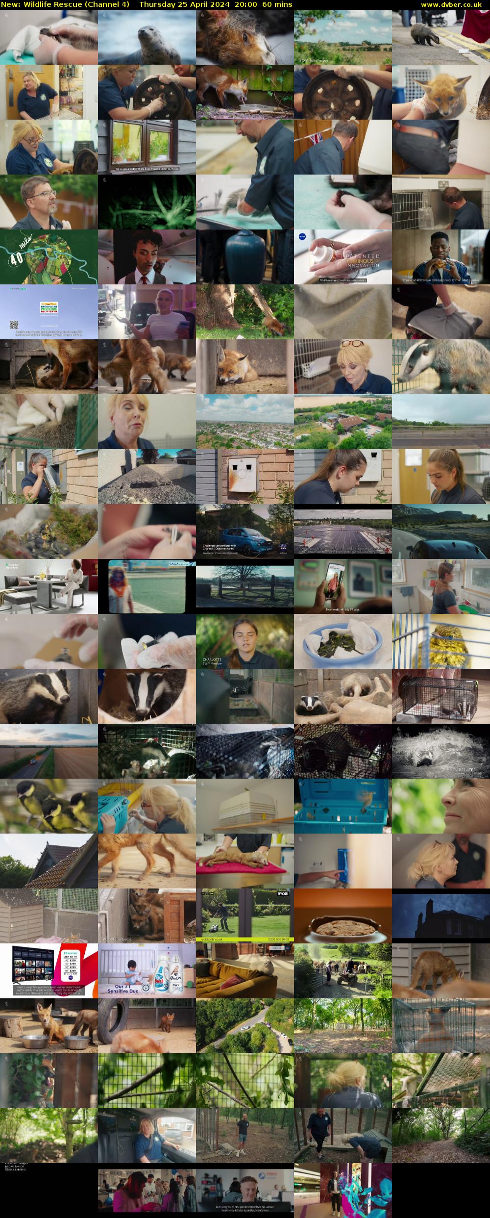 Wildlife Rescue (Channel 4) Thursday 25 April 2024 20:00 - 21:00