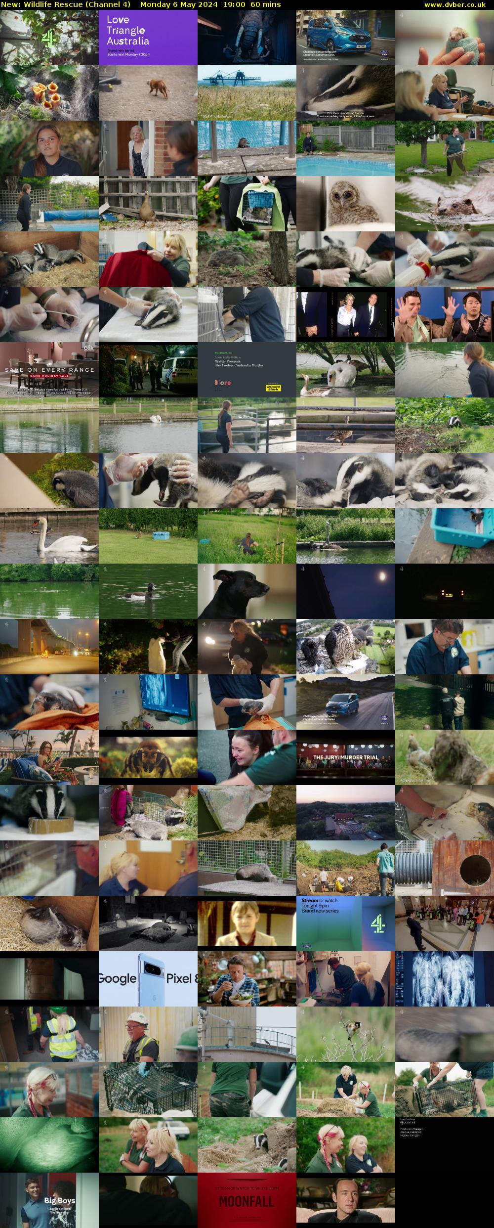 Wildlife Rescue (Channel 4) Monday 6 May 2024 19:00 - 20:00