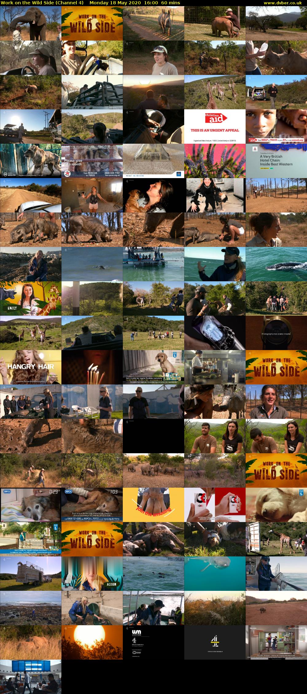Work on the Wild Side (Channel 4) Monday 18 May 2020 16:00 - 17:00