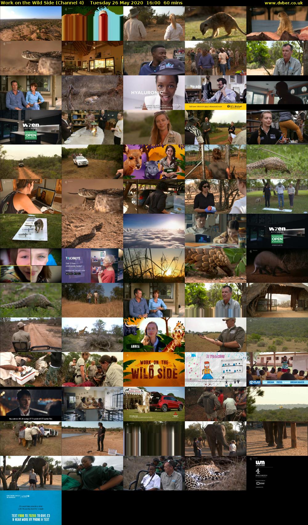Work on the Wild Side (Channel 4) Tuesday 26 May 2020 16:00 - 17:00