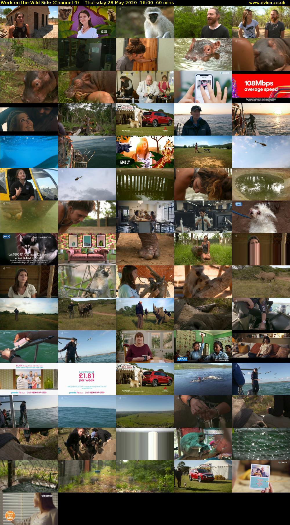 Work on the Wild Side (Channel 4) Thursday 28 May 2020 16:00 - 17:00