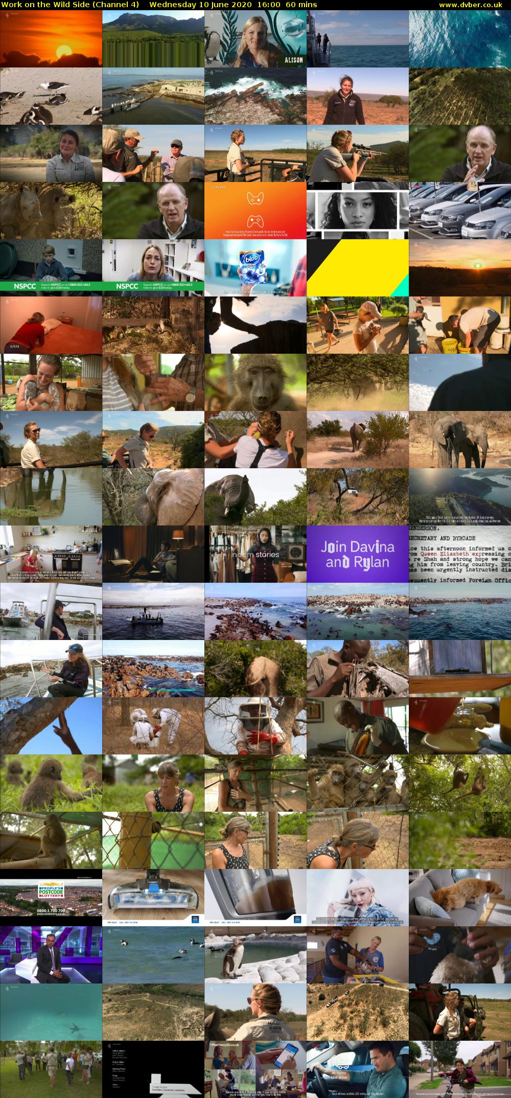 Work on the Wild Side (Channel 4) Wednesday 10 June 2020 16:00 - 17:00