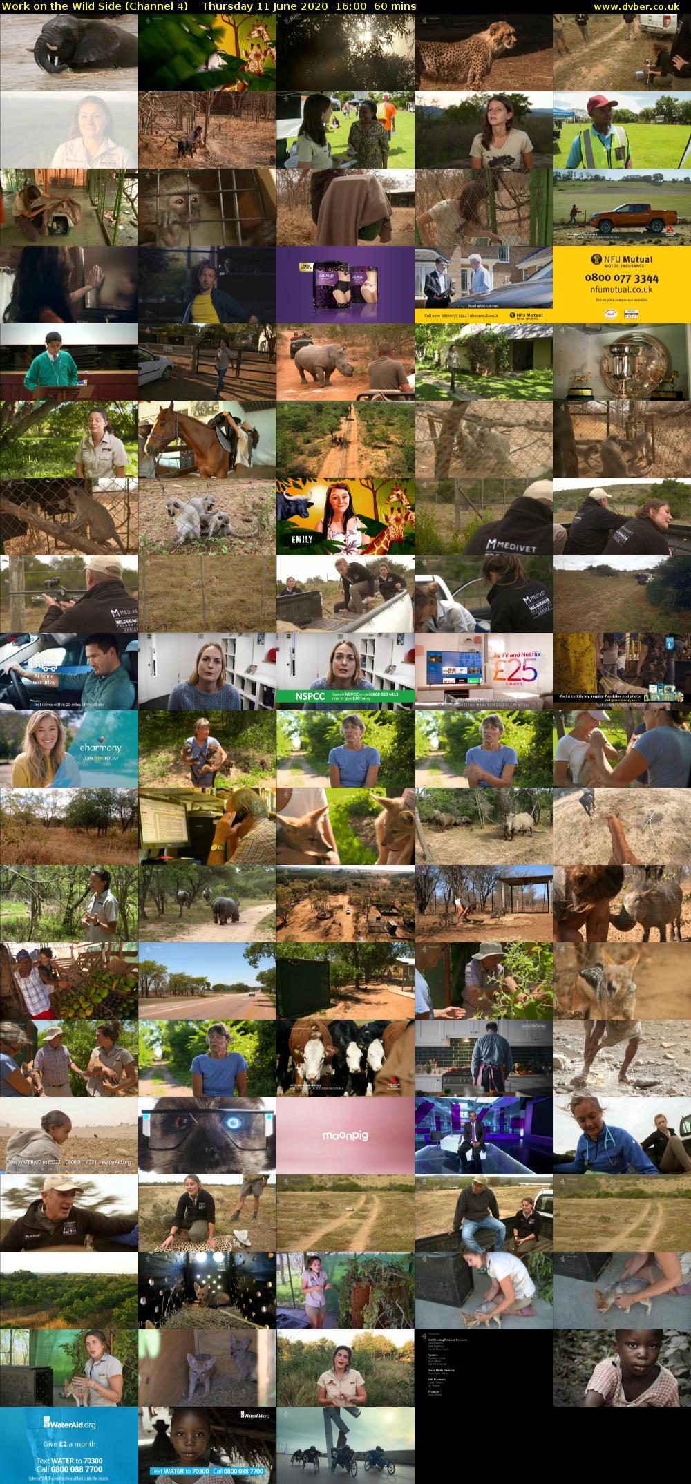 Work on the Wild Side (Channel 4) Thursday 11 June 2020 16:00 - 17:00