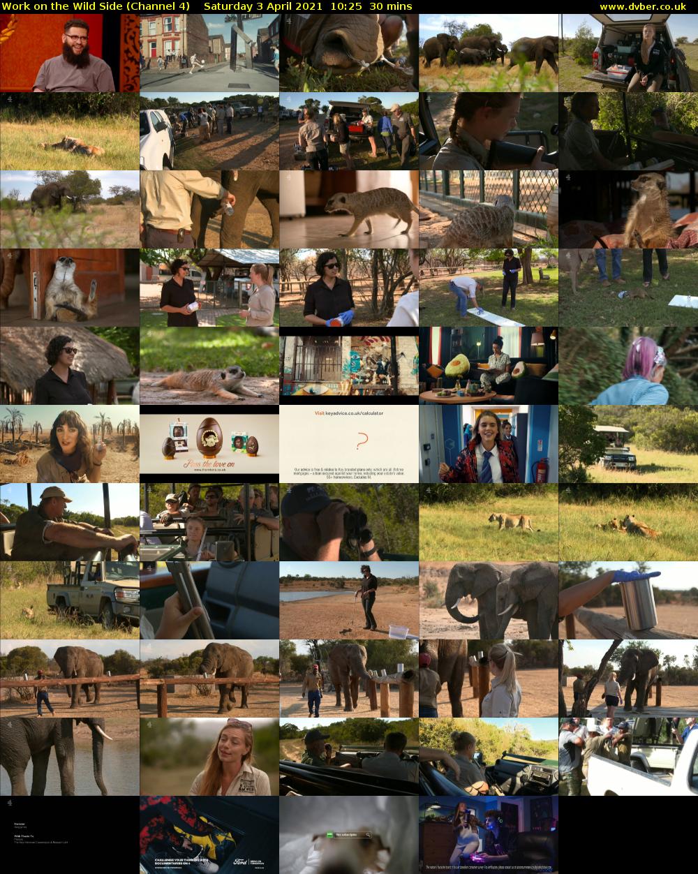 Work on the Wild Side (Channel 4) Saturday 3 April 2021 10:25 - 10:55
