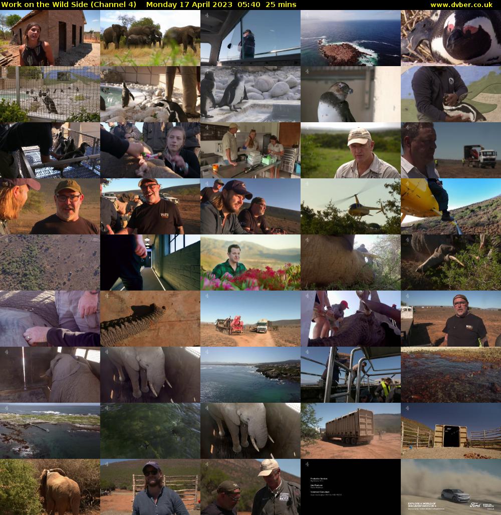 Work on the Wild Side (Channel 4) Monday 17 April 2023 05:40 - 06:05