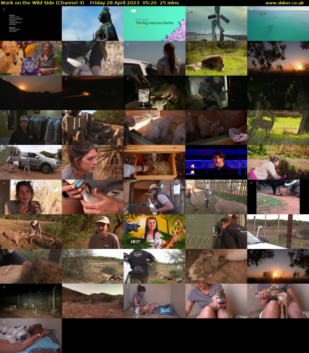 Work on the Wild Side (Channel 4) Friday 28 April 2023 05:20 - 05:45