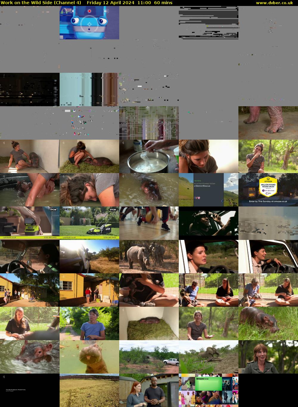 Work on the Wild Side (Channel 4) Friday 12 April 2024 11:00 - 12:00