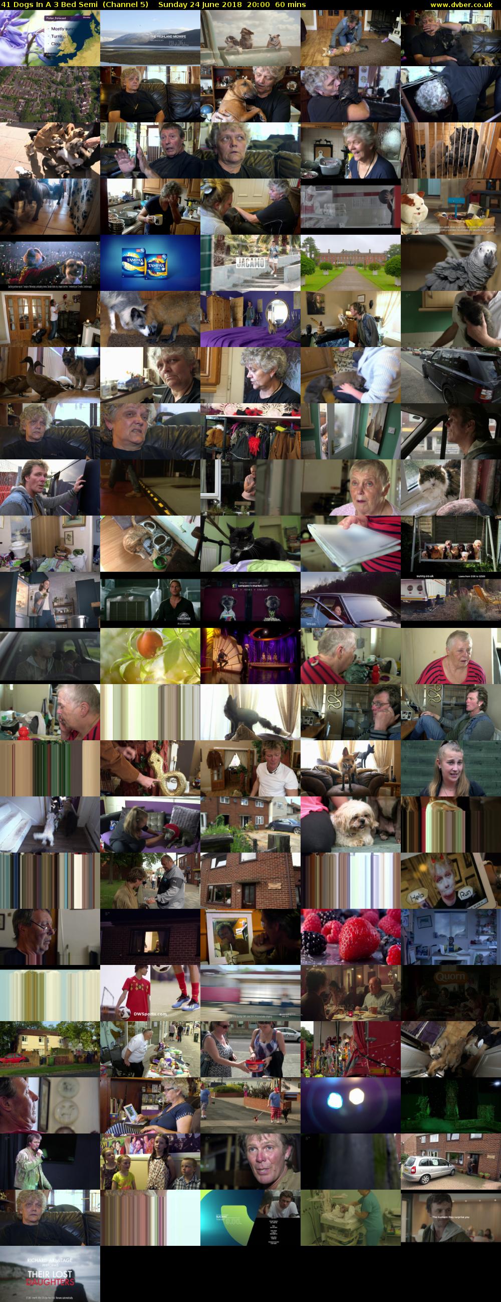 41 Dogs In A 3 Bed Semi  (Channel 5) Sunday 24 June 2018 20:00 - 21:00