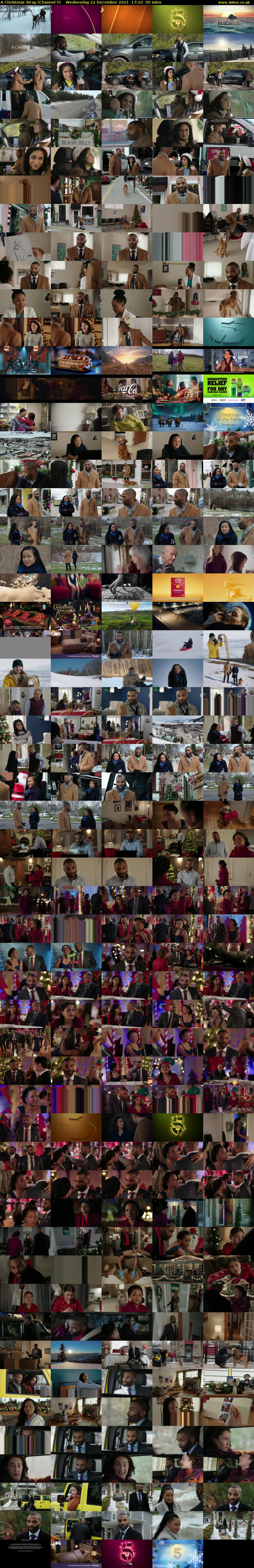 A Christmas Stray (Channel 5) Wednesday 22 December 2021 17:20 - 18:55