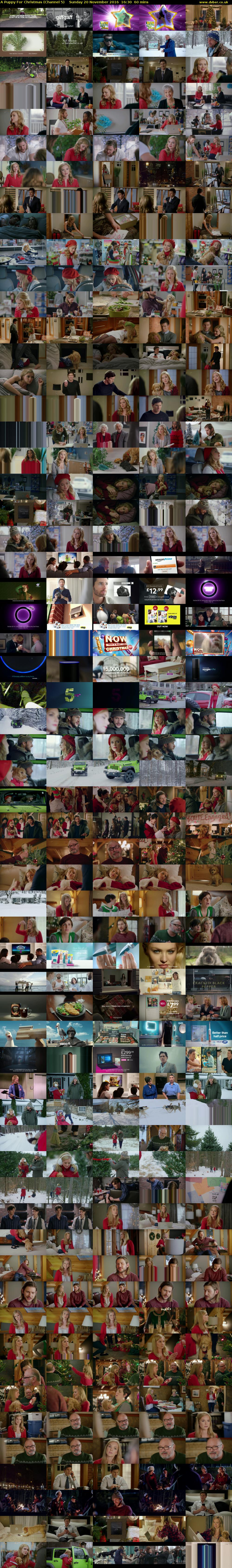 A Puppy For Christmas (Channel 5) Sunday 20 November 2016 16:30 - 17:30