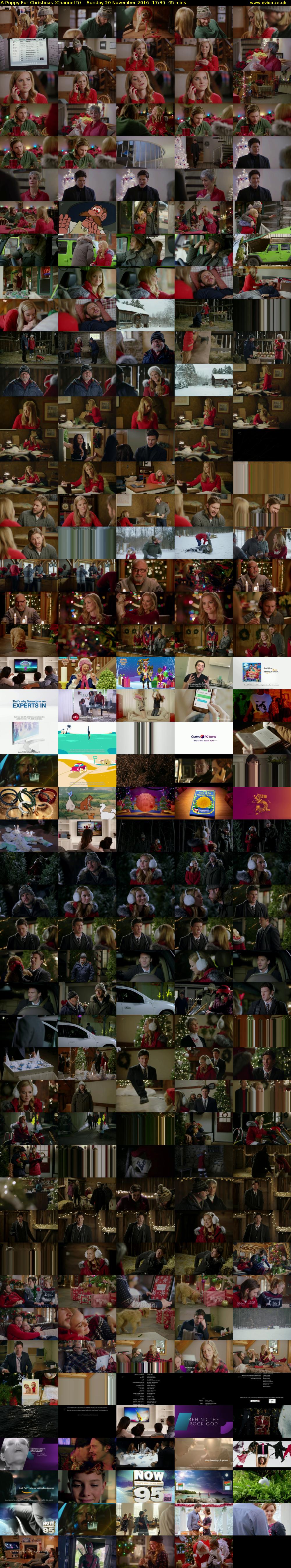 A Puppy For Christmas (Channel 5) Sunday 20 November 2016 17:35 - 18:20