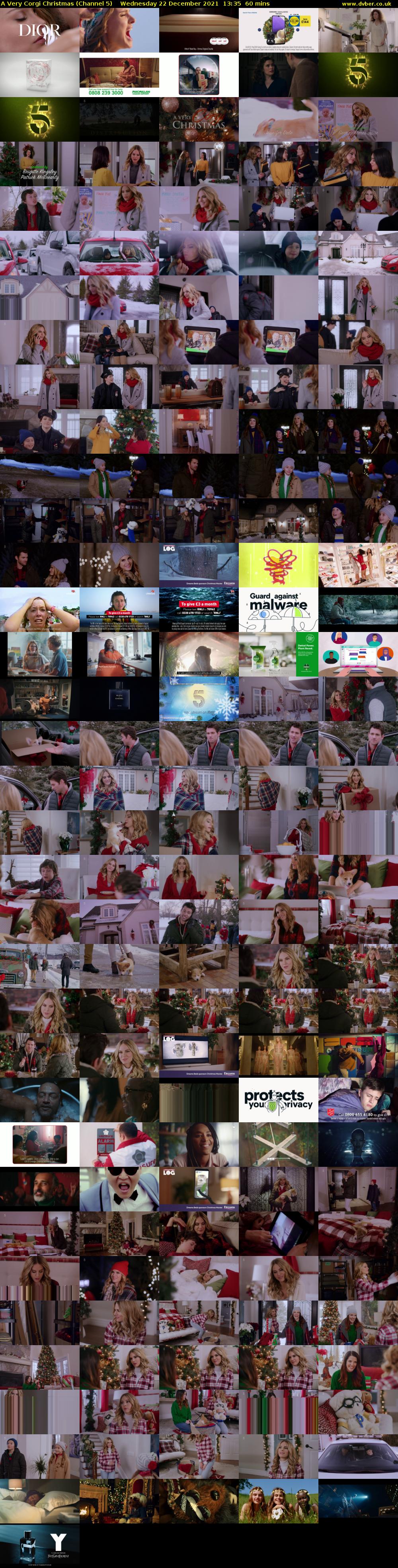 A Very Corgi Christmas (Channel 5) Wednesday 22 December 2021 13:35 - 14:35