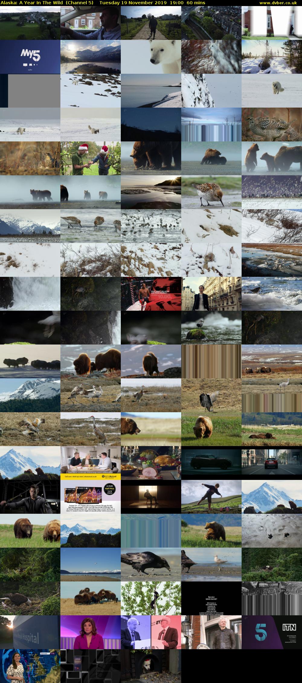 Alaska: A Year In The Wild  (Channel 5) Tuesday 19 November 2019 19:00 - 20:00