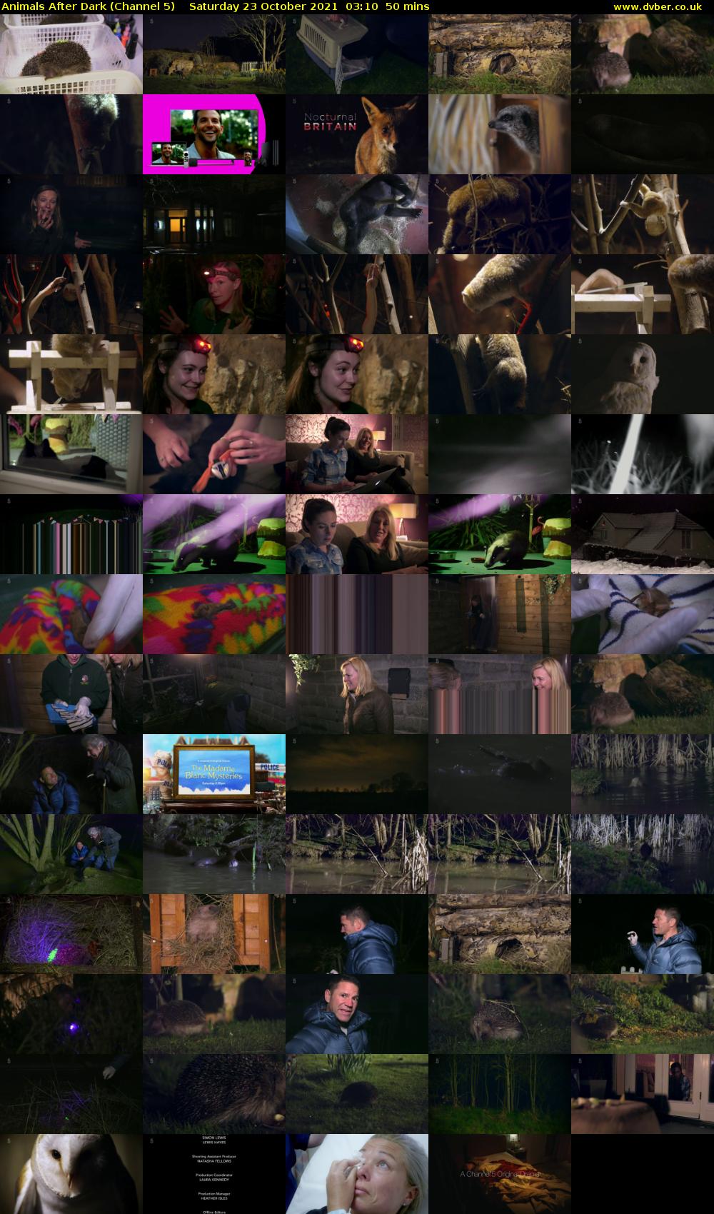 Animals After Dark (Channel 5) Saturday 23 October 2021 03:10 - 04:00