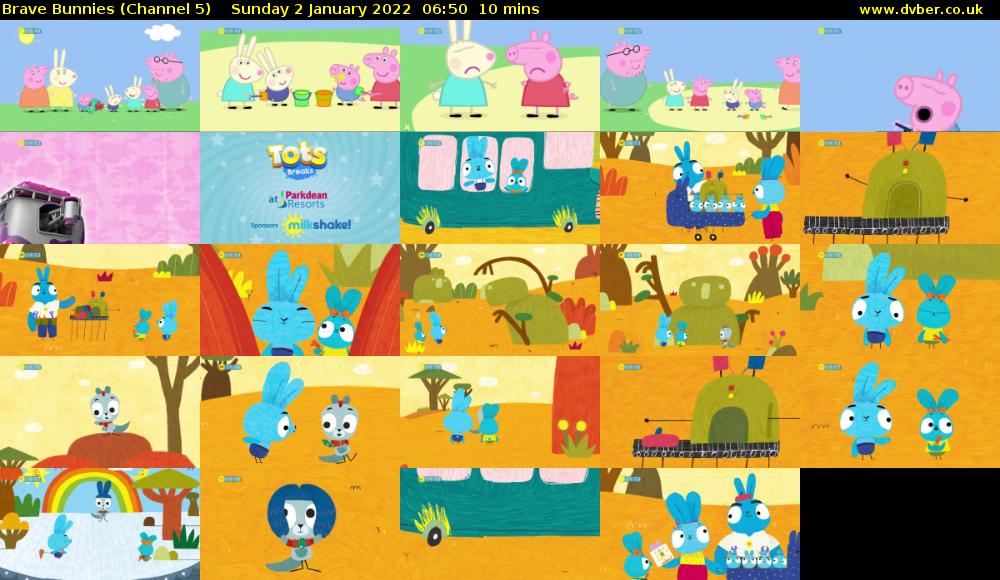 Brave Bunnies (Channel 5) Sunday 2 January 2022 06:50 - 07:00