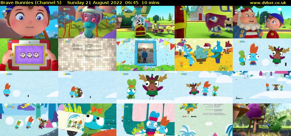 Brave Bunnies (Channel 5) Sunday 21 August 2022 06:45 - 06:55
