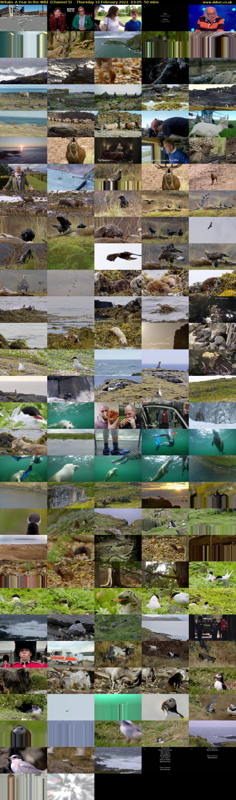 Britain: A Year in the Wild  (Channel 5) Thursday 10 February 2022 03:05 - 03:55
