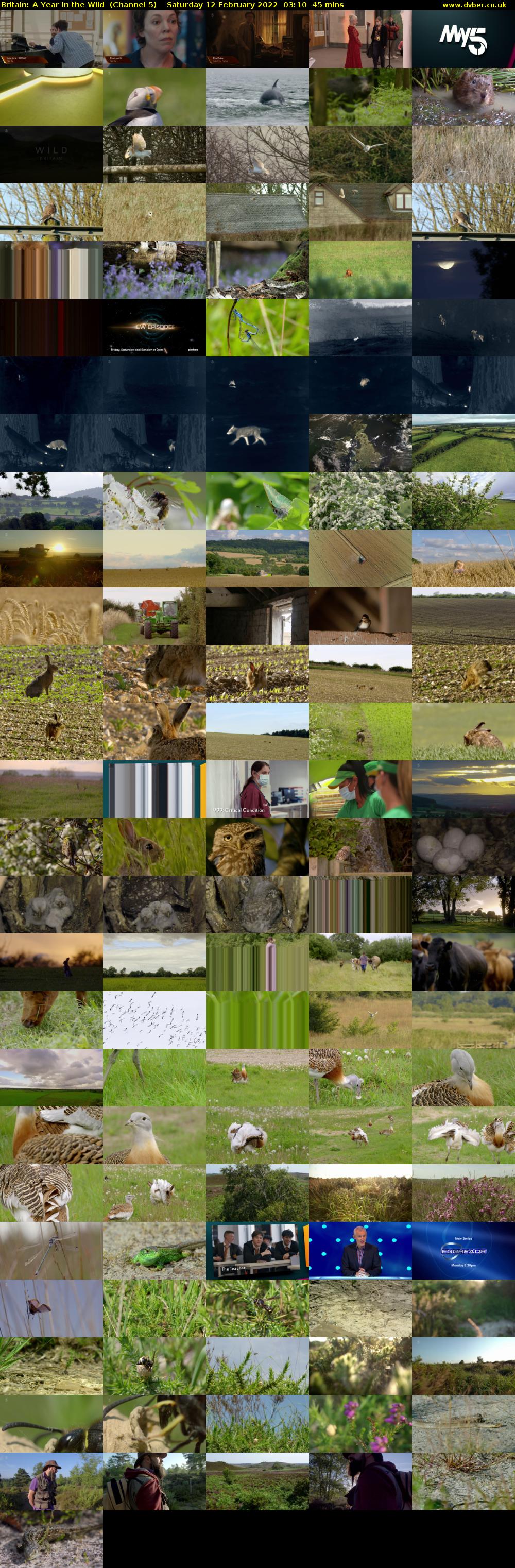Britain: A Year in the Wild  (Channel 5) Saturday 12 February 2022 03:10 - 03:55