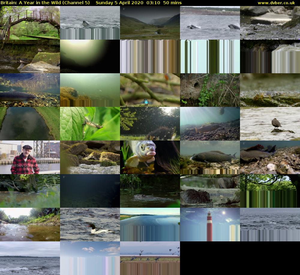 Britain: A Year in the Wild (Channel 5) Sunday 5 April 2020 03:10 - 04:00