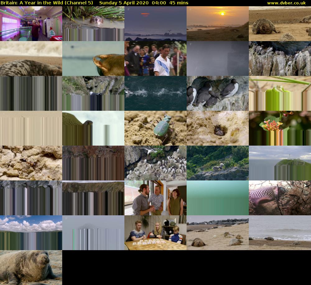 Britain: A Year in the Wild (Channel 5) Sunday 5 April 2020 04:00 - 04:45
