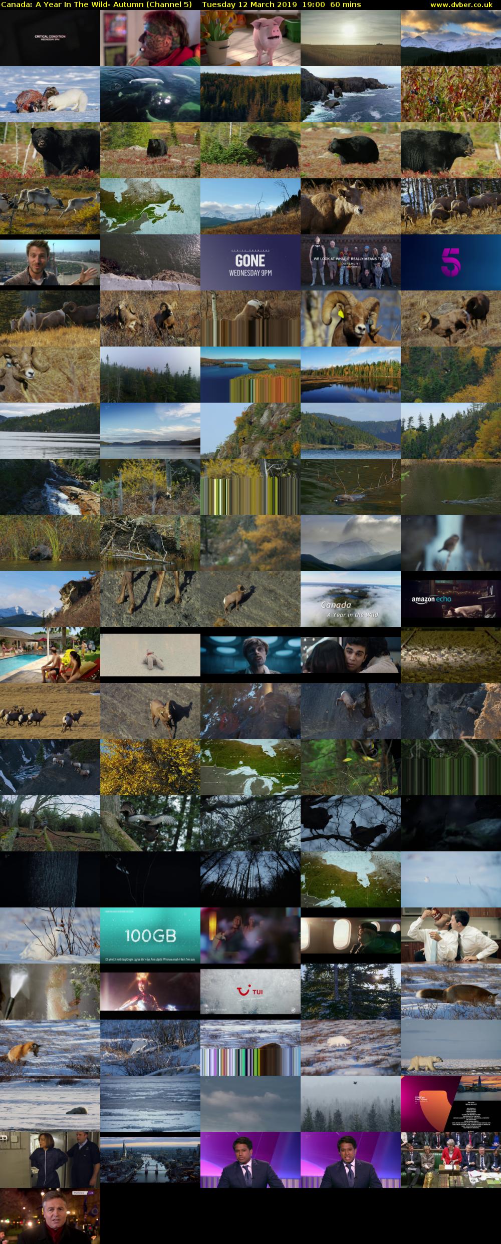 Canada: A Year In The Wild- Autumn (Channel 5) Tuesday 12 March 2019 19:00 - 20:00