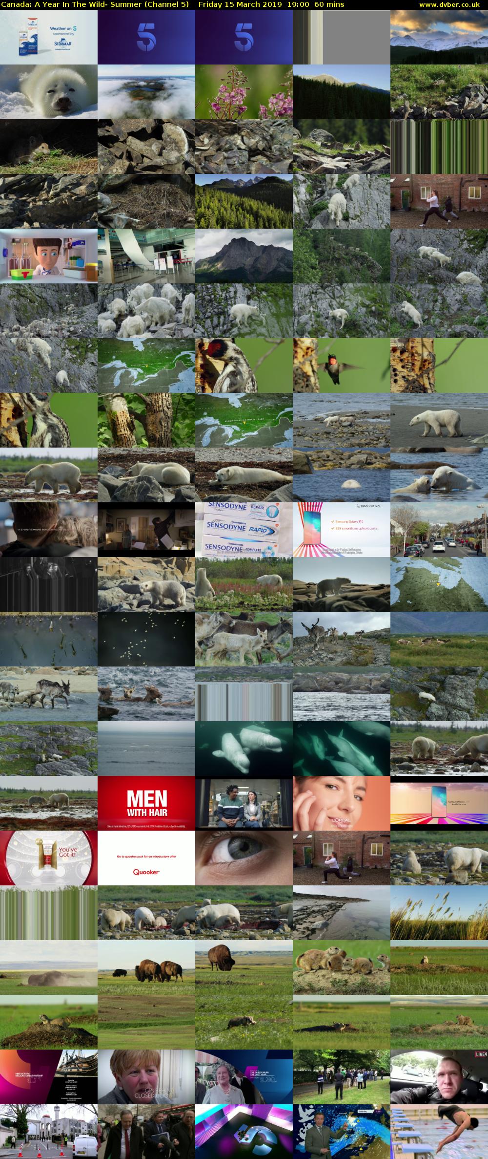 Canada: A Year In The Wild- Summer (Channel 5) Friday 15 March 2019 19:00 - 20:00