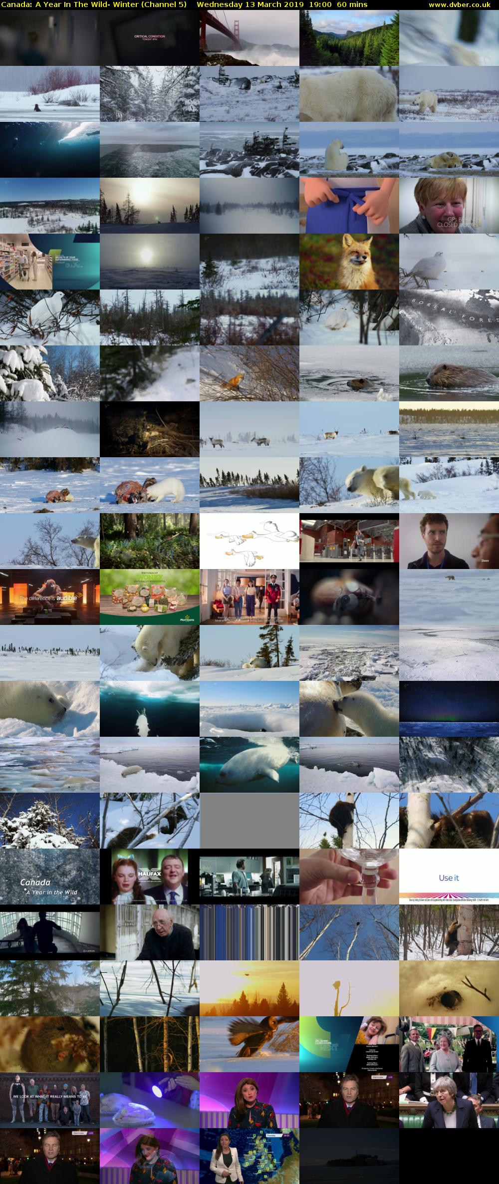 Canada: A Year In The Wild- Winter (Channel 5) Wednesday 13 March 2019 19:00 - 20:00