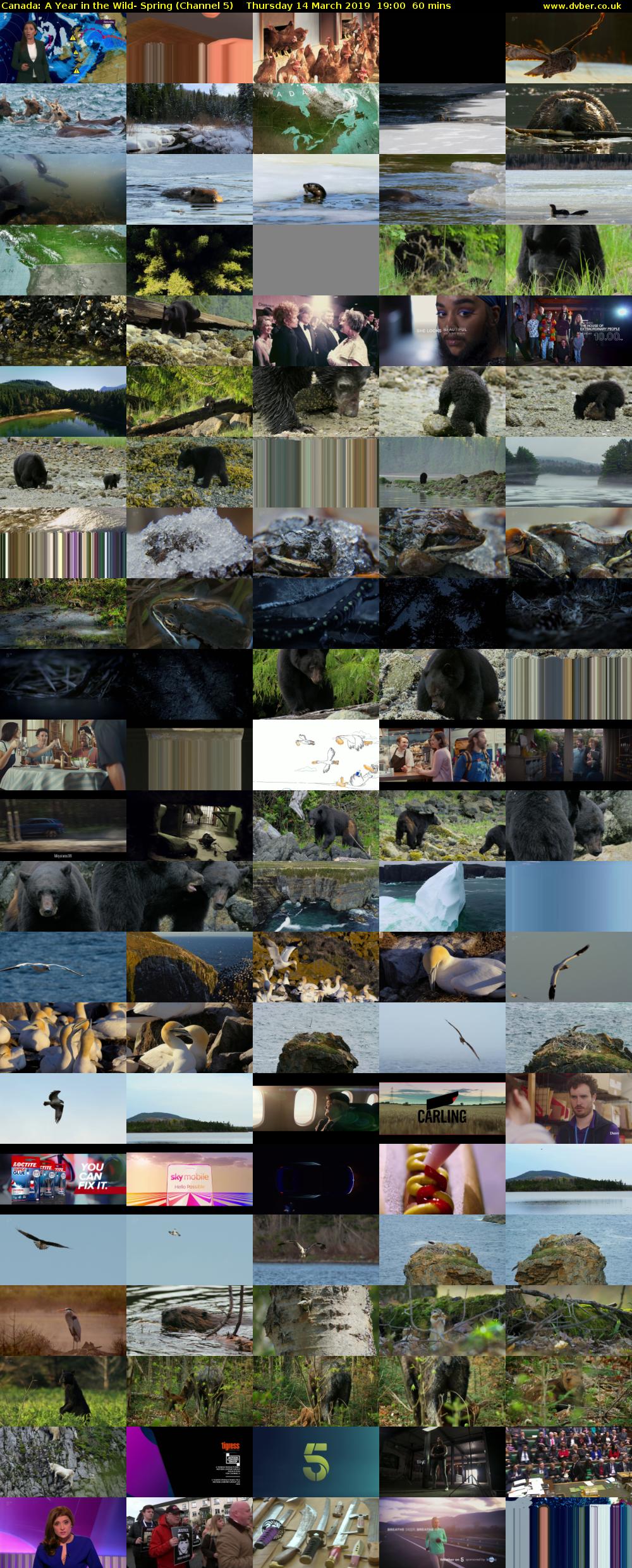 Canada: A Year in the Wild- Spring (Channel 5) Thursday 14 March 2019 19:00 - 20:00