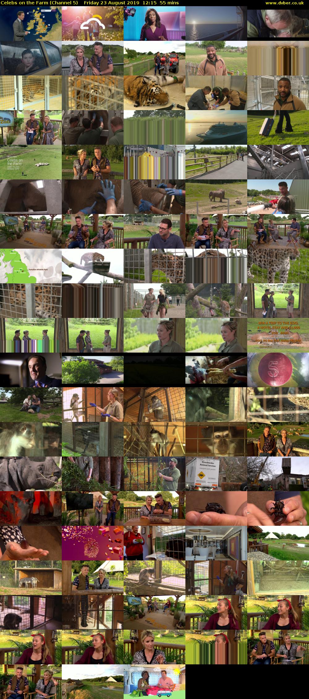 Celebs on the Farm (Channel 5) Friday 23 August 2019 12:15 - 13:10