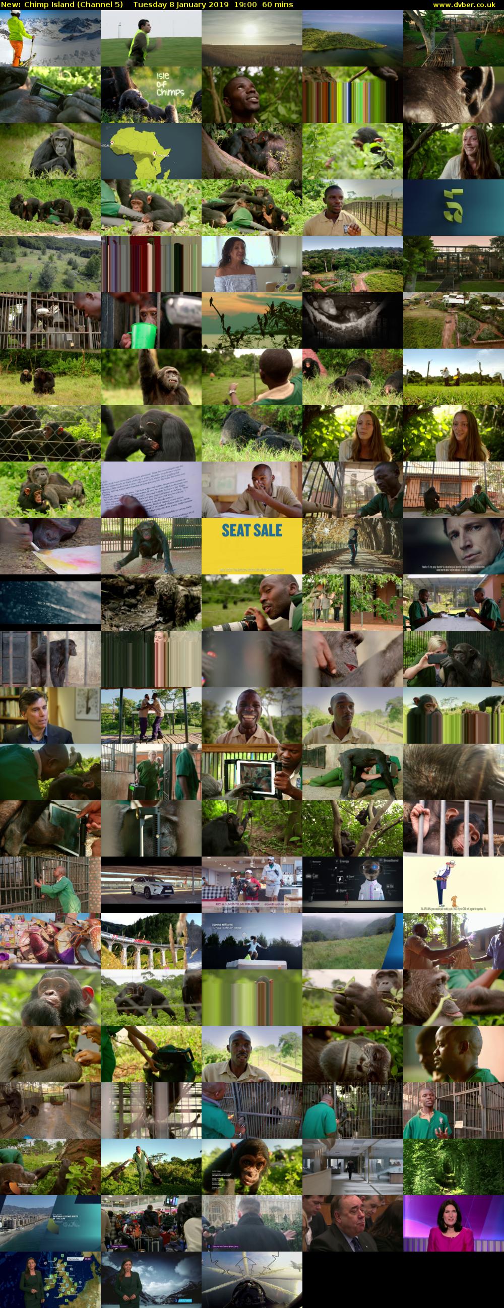 Chimp Island (Channel 5) Tuesday 8 January 2019 19:00 - 20:00
