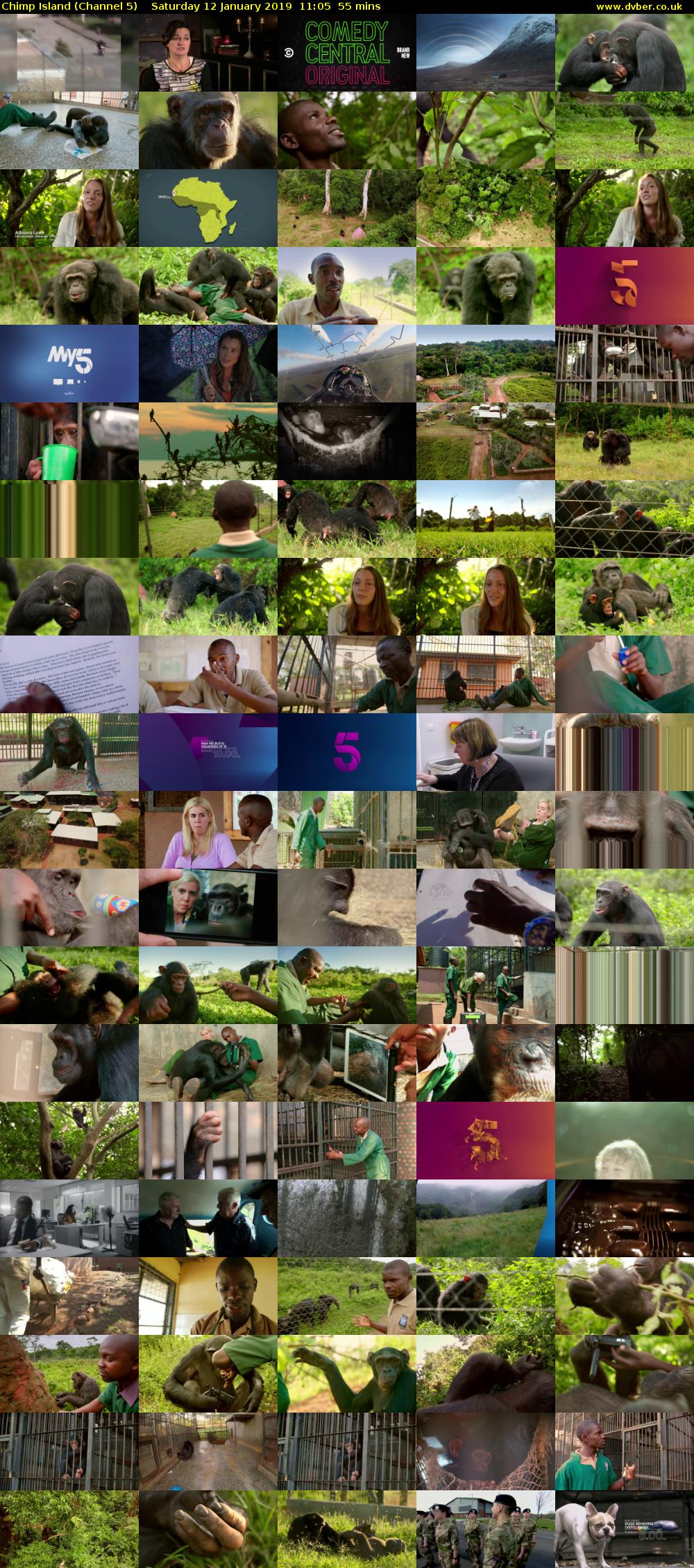 Chimp Island (Channel 5) Saturday 12 January 2019 11:05 - 12:00