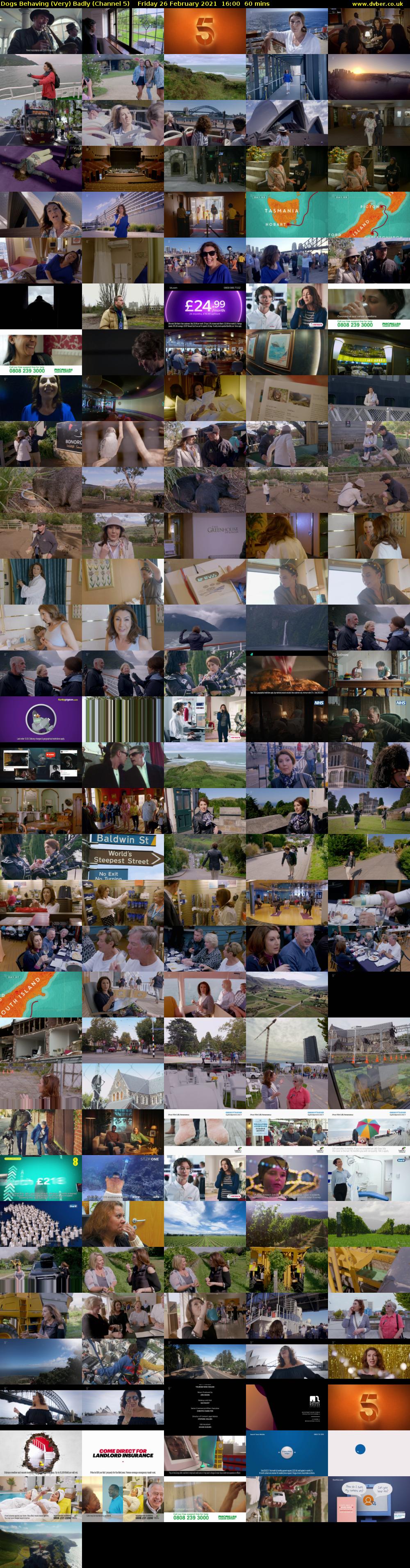Dogs Behaving (Very) Badly (Channel 5) Friday 26 February 2021 16:00 - 17:00