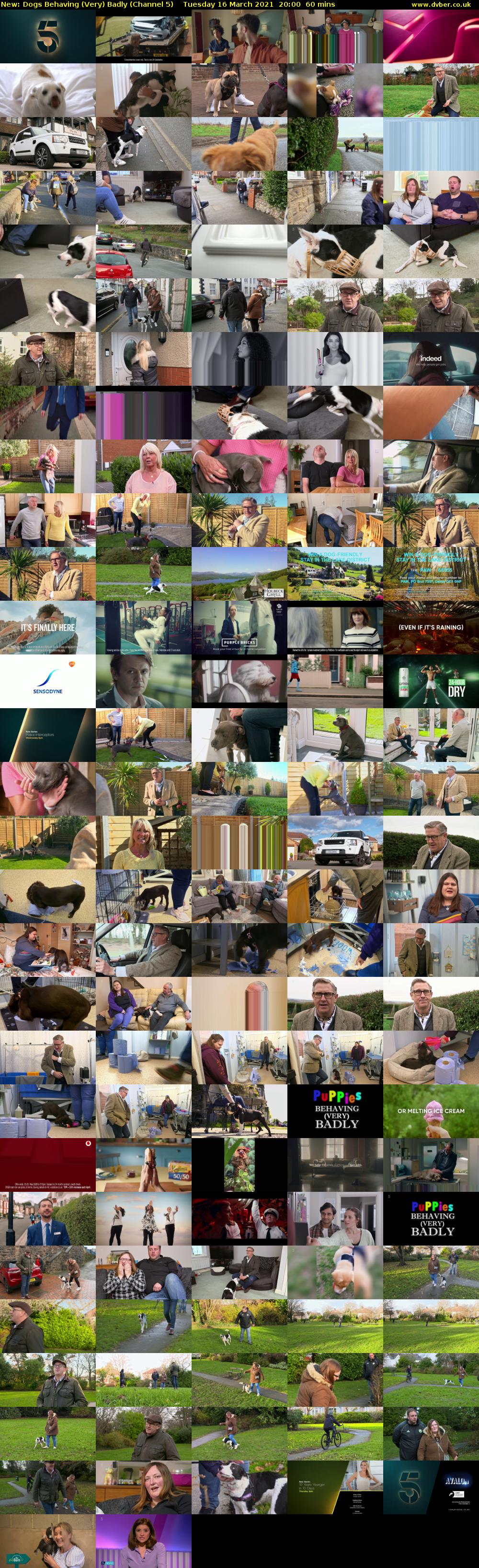 Dogs Behaving (Very) Badly (Channel 5) Tuesday 16 March 2021 20:00 - 21:00