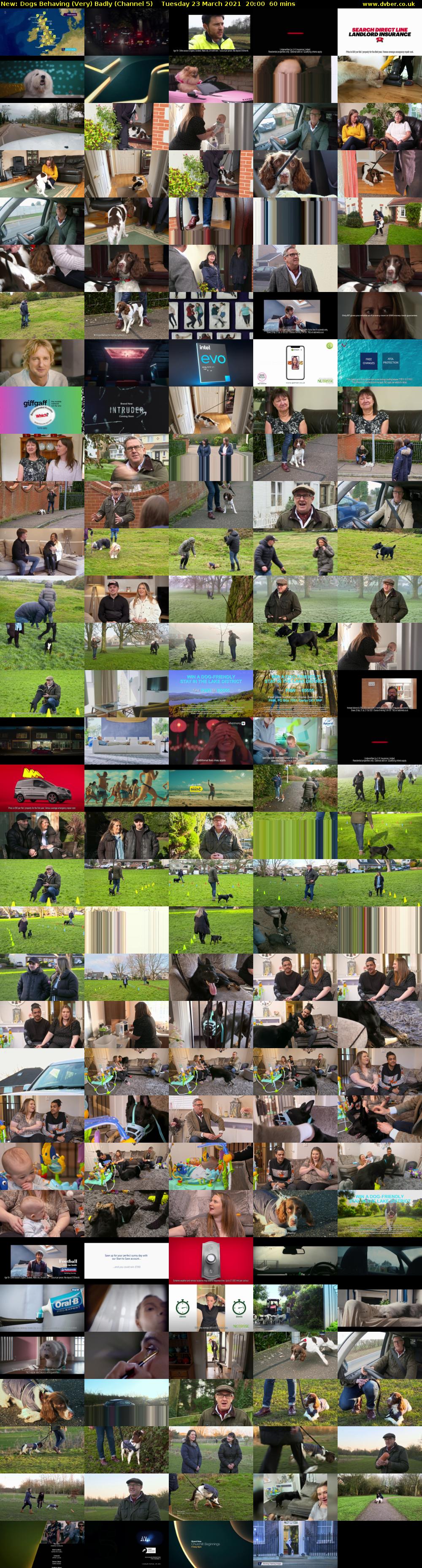 Dogs Behaving (Very) Badly (Channel 5) Tuesday 23 March 2021 20:00 - 21:00