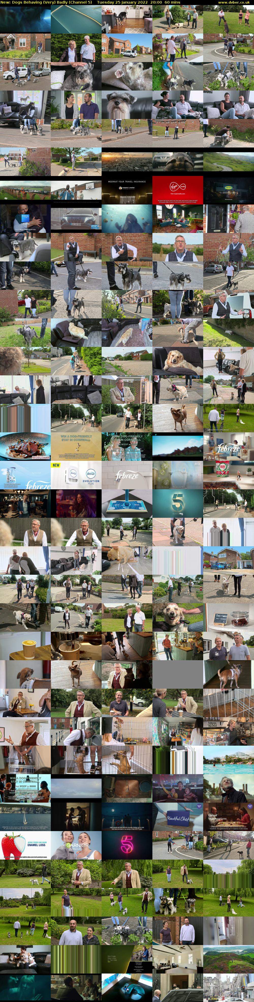 Dogs Behaving (Very) Badly (Channel 5) Tuesday 25 January 2022 20:00 - 21:00